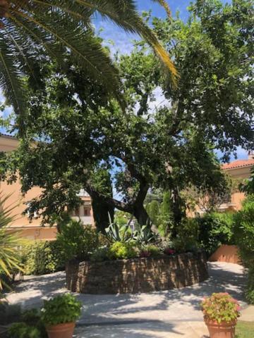 Belle Residence Au Centre De Saint Tropez Avec Piscine Et Garage エクステリア 写真